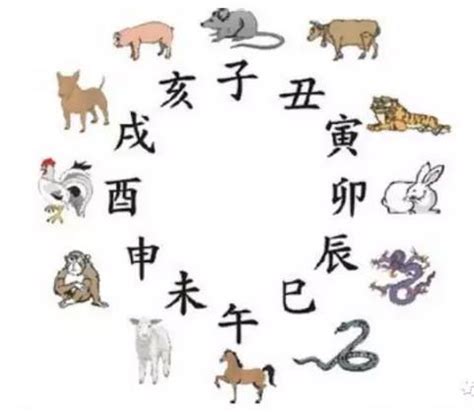 白虎开口 八字 換算